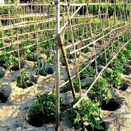 Belvilla By Oyo Venturi Olive Gatteo a Mare Ngoại thất bức ảnh